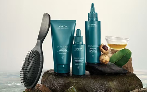 Pramasana · Aveda | Coserty.com